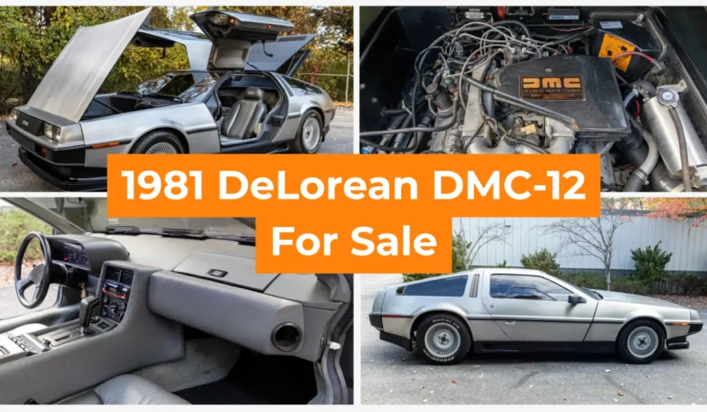 1981 DeLorean DMC 12 for sale
