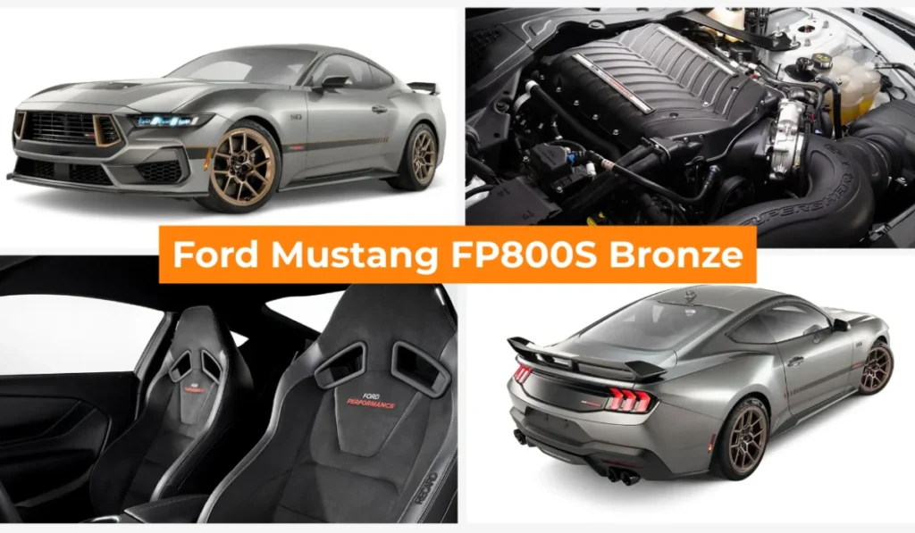 Ford Mustang FP800S Bronze